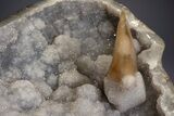 Amazing Quartz Geode Display on Stand - Spectacular #351499-15